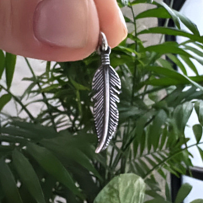 Dije Pluma - Plata925
